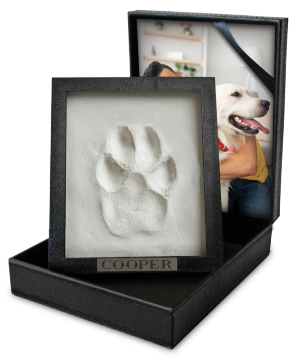 clay paw print clay paw print